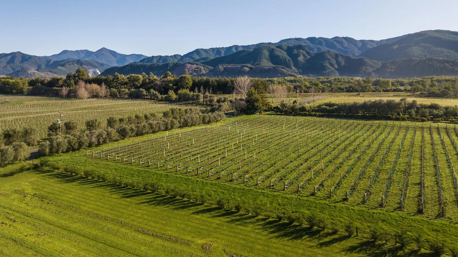 Holiday home Rapaura Vineyard Escape - Blenheim Retreat Villa New Zealand